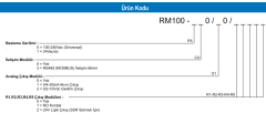 RM100-000/00/11111 RAY MONTAJ KONTROL CİHAZI