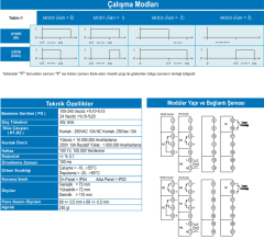 TC770-0/31 ZAMAN RÖLESİ
