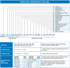 OR02-B1H06-30 Ü EF PT100 - REZİSTANS TERMOMETRE